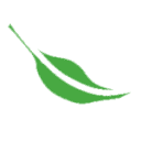 Taylor Farms logo