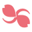 Saeki Selva Holdings logo